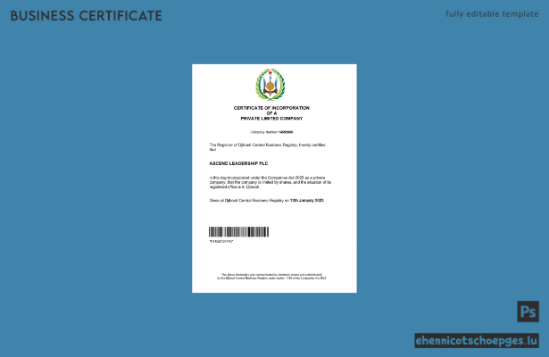 Dschibuti-Registrierungsurkunde – Beispielansicht in Word und PDF
